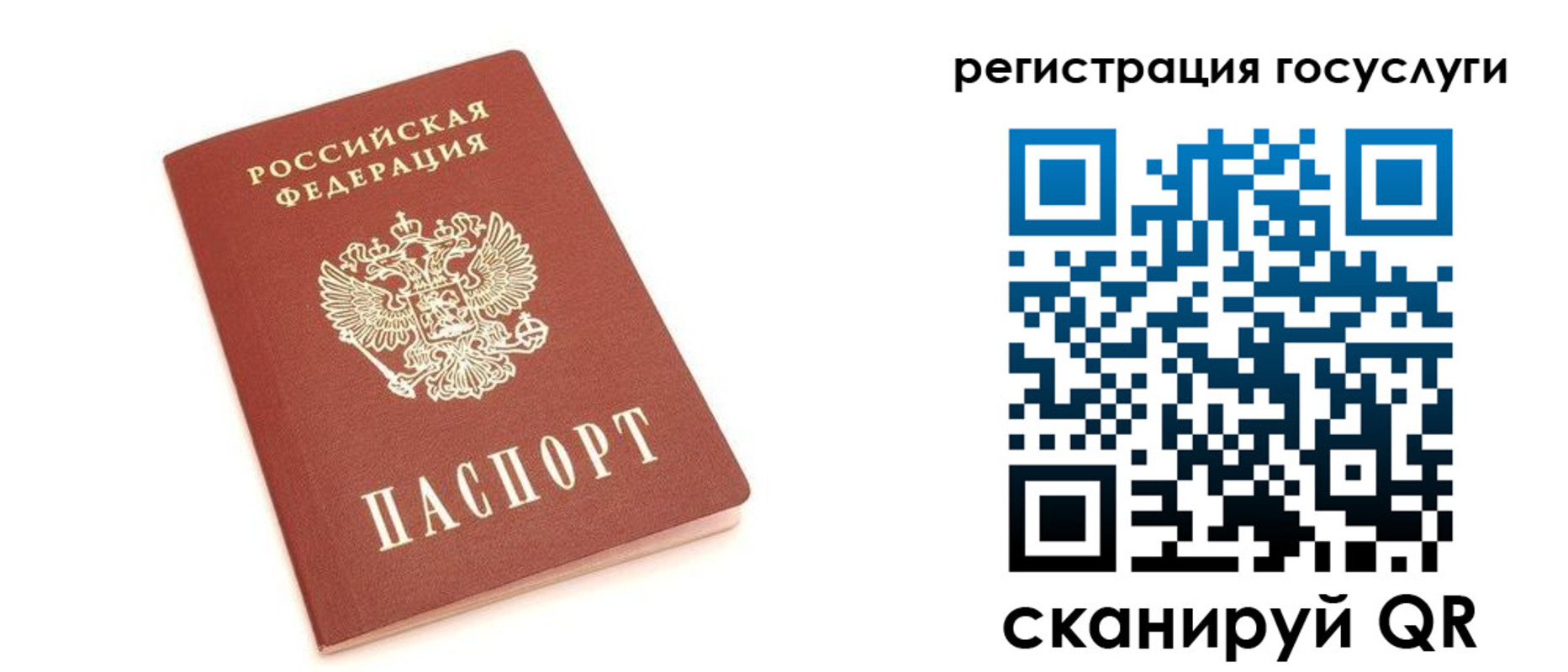 прописка 2025 в Менделеевске